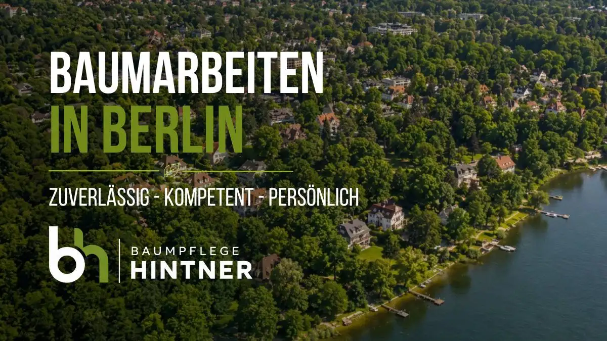 Lernen Sie unsere Baumarbeiten in Berlin kennen., ausgeführt von der Baumpflege Hintner. Alles dabei: Baumschnitt, Baumfällung, einer Baumkontrolle oder einer Kronensicherung, wir sind für Sie da.