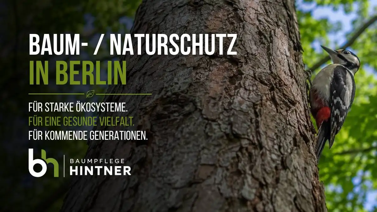 Die Natur und das Grün in Berlin sind einzigartig. Wir wollen beides erhalten, daher sind Baumschutz und Naturschutz besonders wichtige Angelegenheiten für uns.