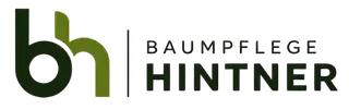 Logo in schwarz für aktuelle Projekte und den Kontakt von Michael Hintner in Berlin