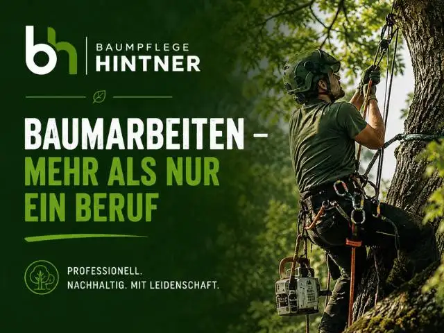 Für Michael Hintner sind Baumarbeiten nicht nur sehr persönlich sondern viel mehr als nur ein Beruf,. Er liebt alle Baume gleichermaßen.