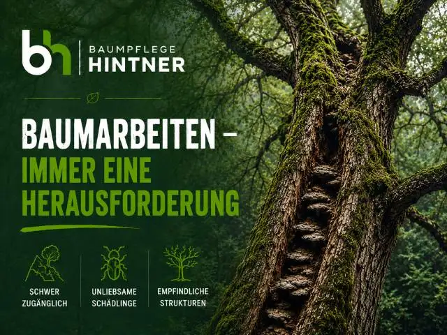 Baumarbeiten sind oftmals eine echte Herausforderung. Daher nehmen Sie es bitte nicht persönlich, aber hier sollte nur ein Profi ran!