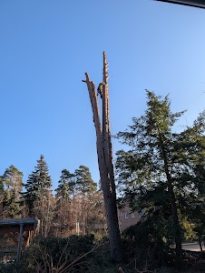 Ortsbild von „Baumpflege Hintner“