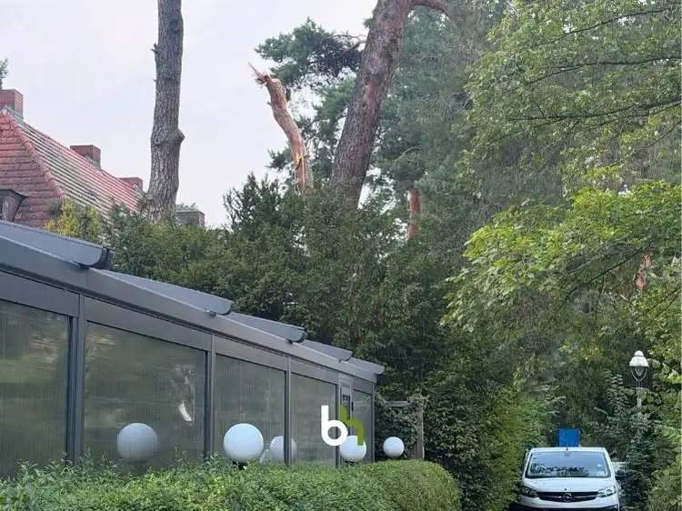 Gesamtansicht der abgebrochenen Krone einer Waldkiefer auf einem Hausdach in Berlin-Zehlendorf.