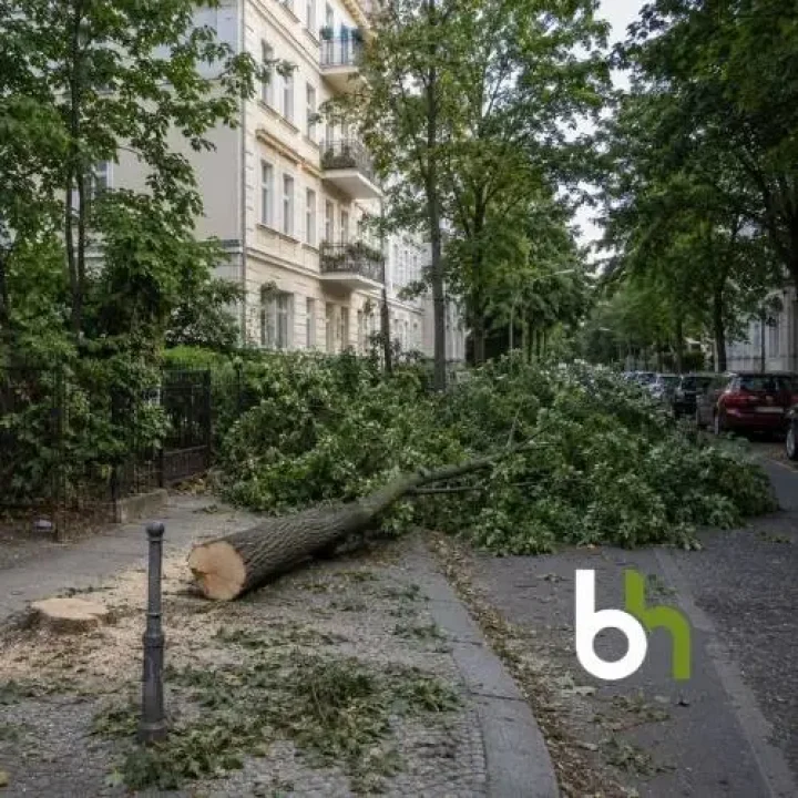 Bevor jemand zu Schaden kommt sollte ein gefährdeter Baum einer kompetenten und sicheren Baumfällung unterzogen werden, Baumpflege Hintner erledigt das.